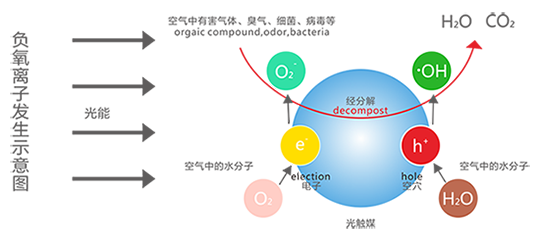 金沙js3833(中国游)有限公司官网