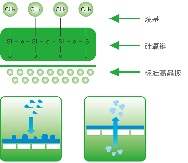 金沙js3833(中国游)有限公司官网