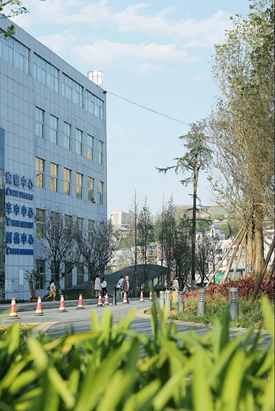 金沙js3833(中国游)有限公司官网