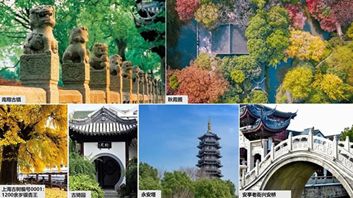金沙js3833(中国游)有限公司官网